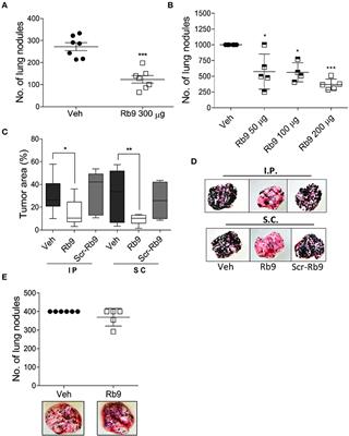 Immunomodulatory Protective Effects of Rb9 Cyclic-Peptide in a Metastatic Melanoma Setting and the Involvement of Dendritic Cells